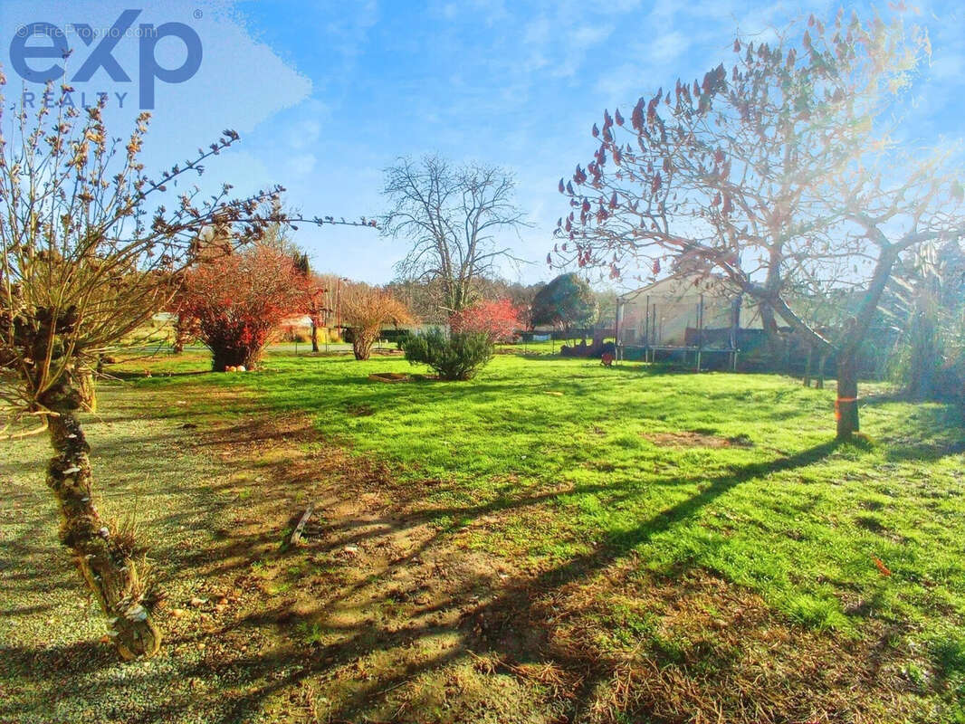 Maison à SAINT-EMILION
