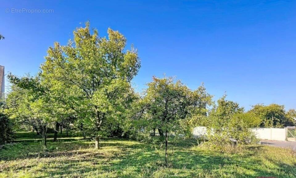 Terrain à BALLANCOURT-SUR-ESSONNE