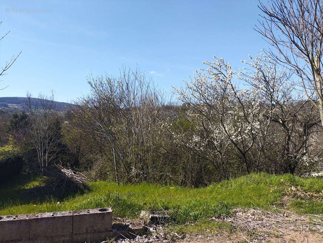 Terrain à LA ROCHE-VINEUSE