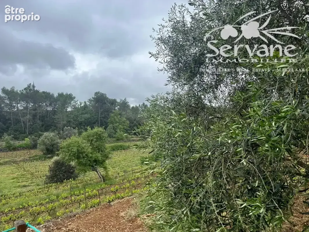 Domaine viticole proche cotignac a vendre - photo 11