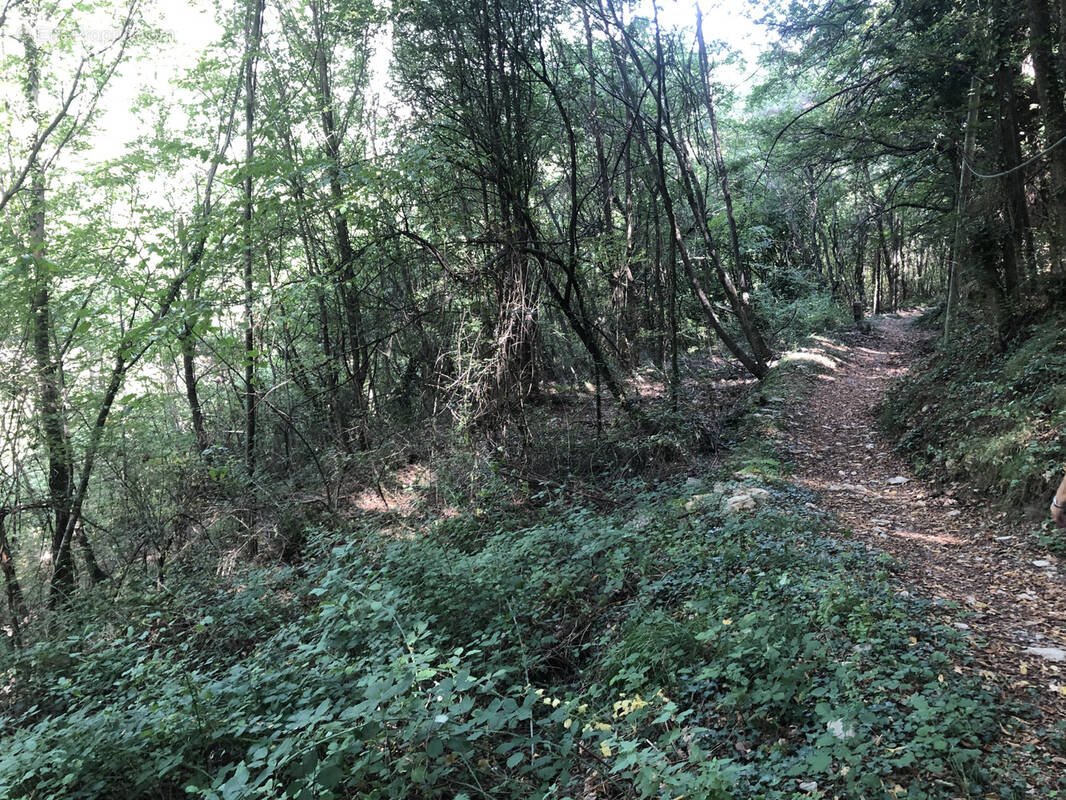 Terrain à BREIL-SUR-ROYA