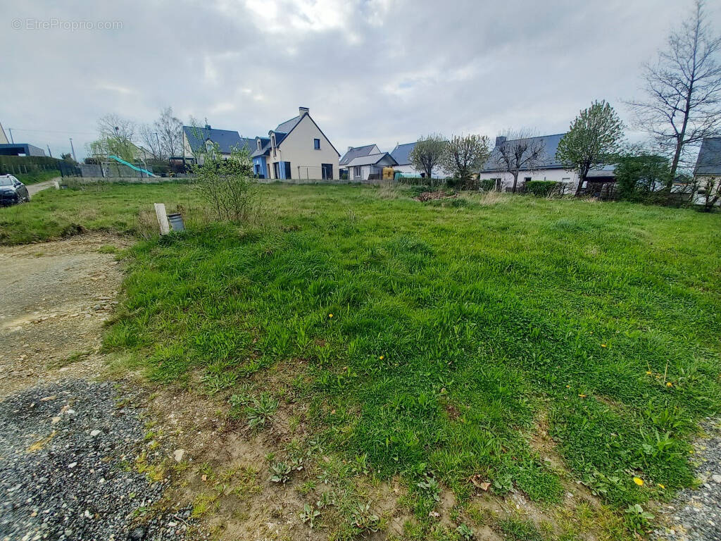 Terrain à BILLE