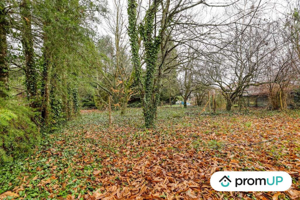 Terrain à PEYRILHAC