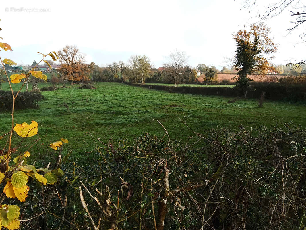 Terrain à CHAMPLECY
