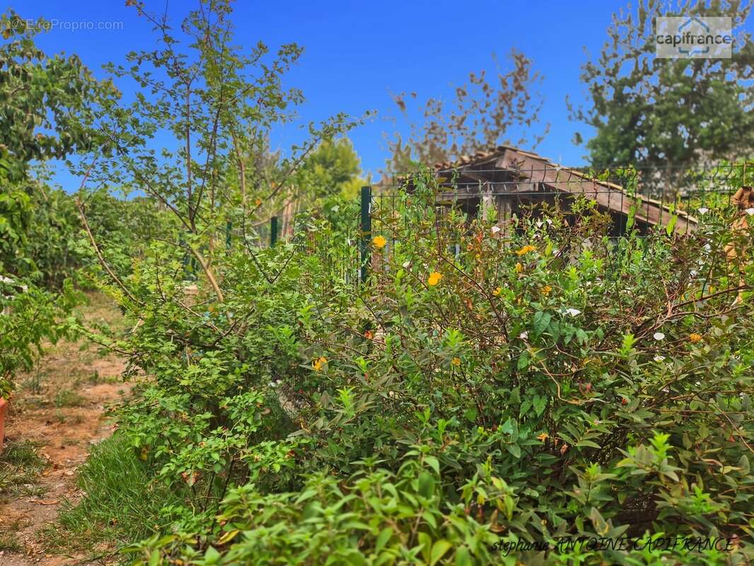 Puyoô – maison de caractère de 188,83 m², 5 chambres, grange d’environ 300 m² et terrain de 1 198 m² – 245 000 € - photo 18
