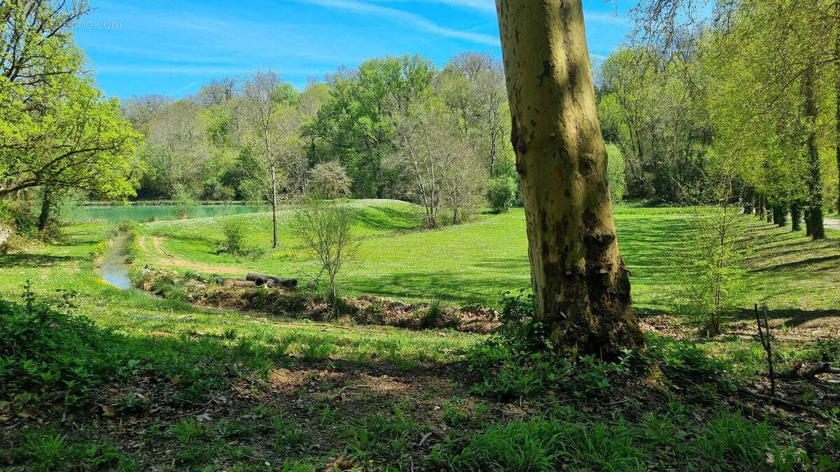 Très beau château datant du XVI ème entièrement rénové au milieu de 50 hectares et ses trois lacs situé dans l - photo 84