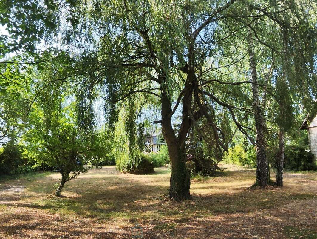 Sur plus de 3 ha de terrain, agréable maison avec dépendances - photo 12