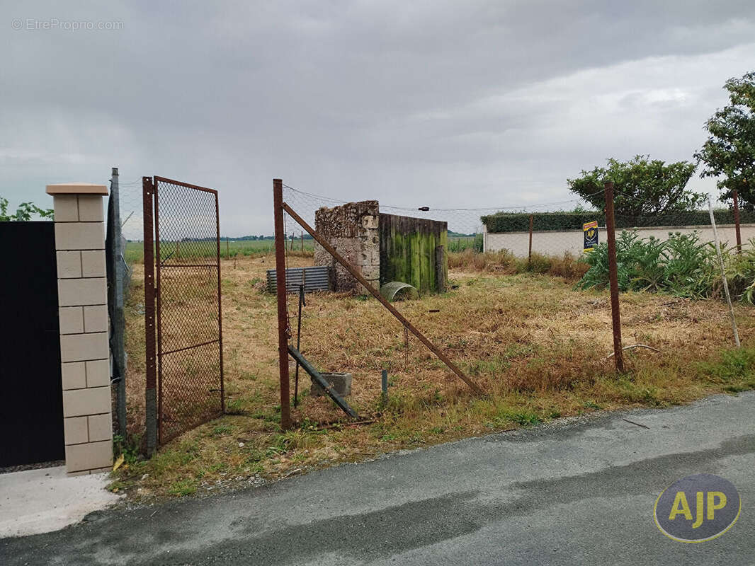 Terrain constructible Pauillac 635 m2 - photo 3