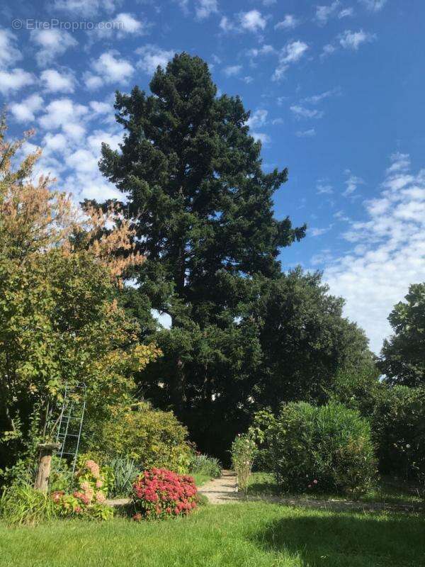 Maison à ARLES-SUR-TECH