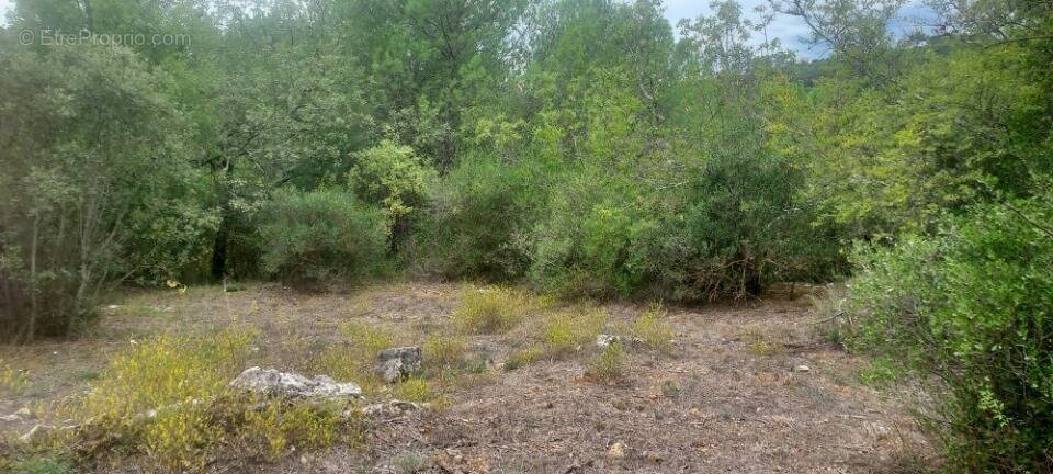 Terrain à BRUE-AURIAC