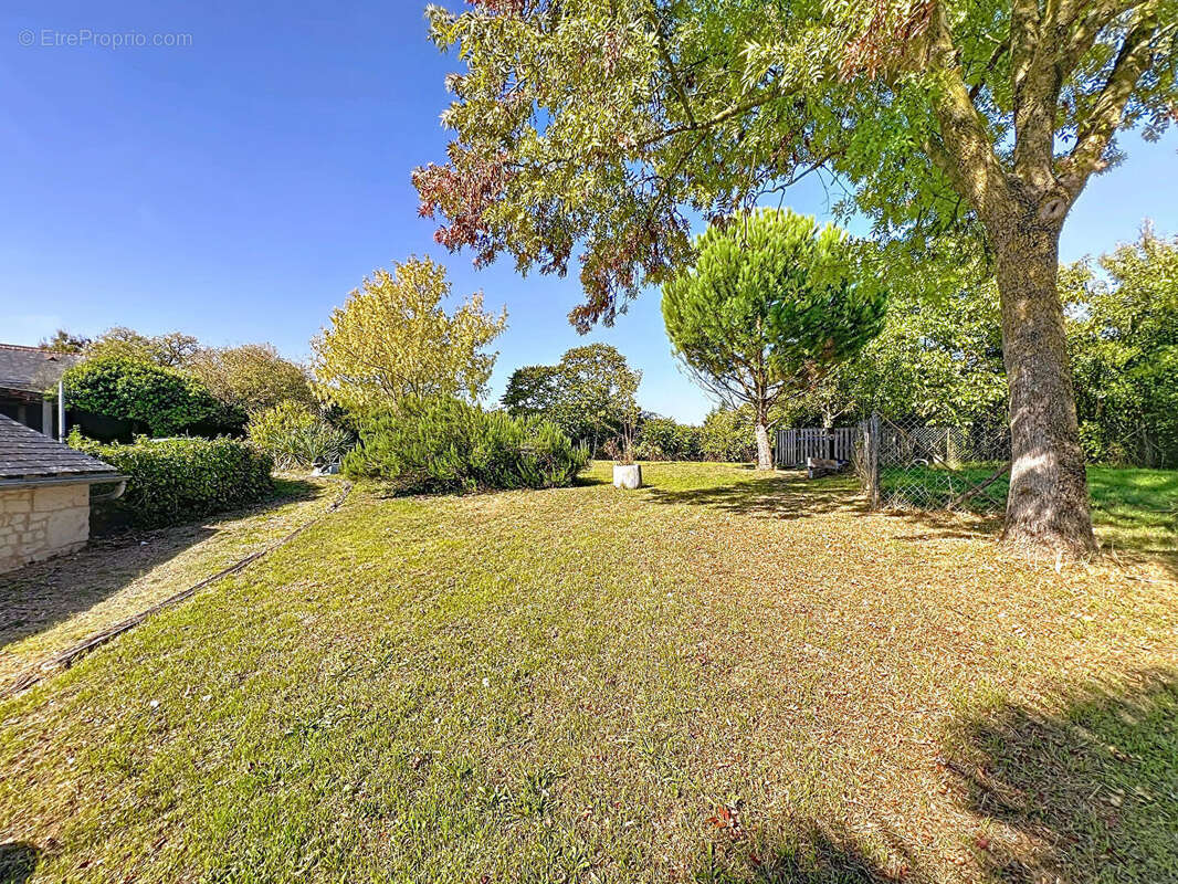 Maison à DOUE-LA-FONTAINE