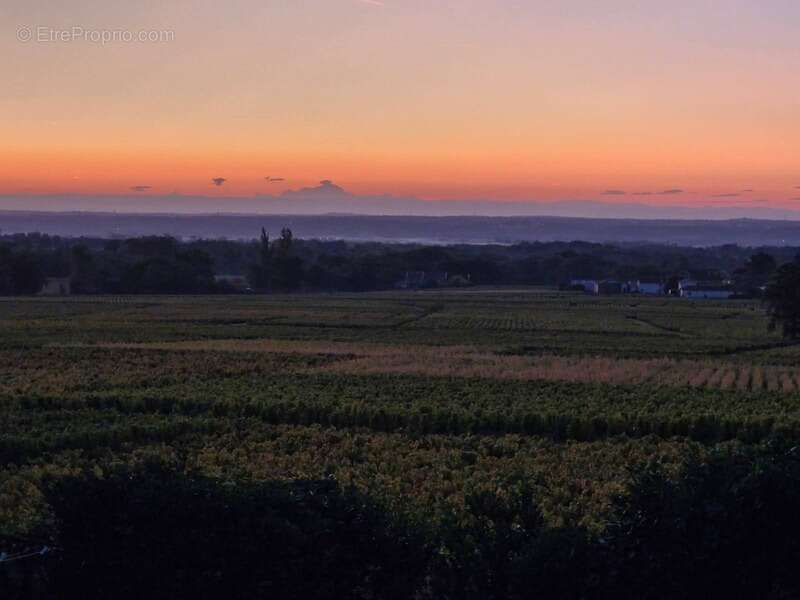 Maison à BELLEVILLE