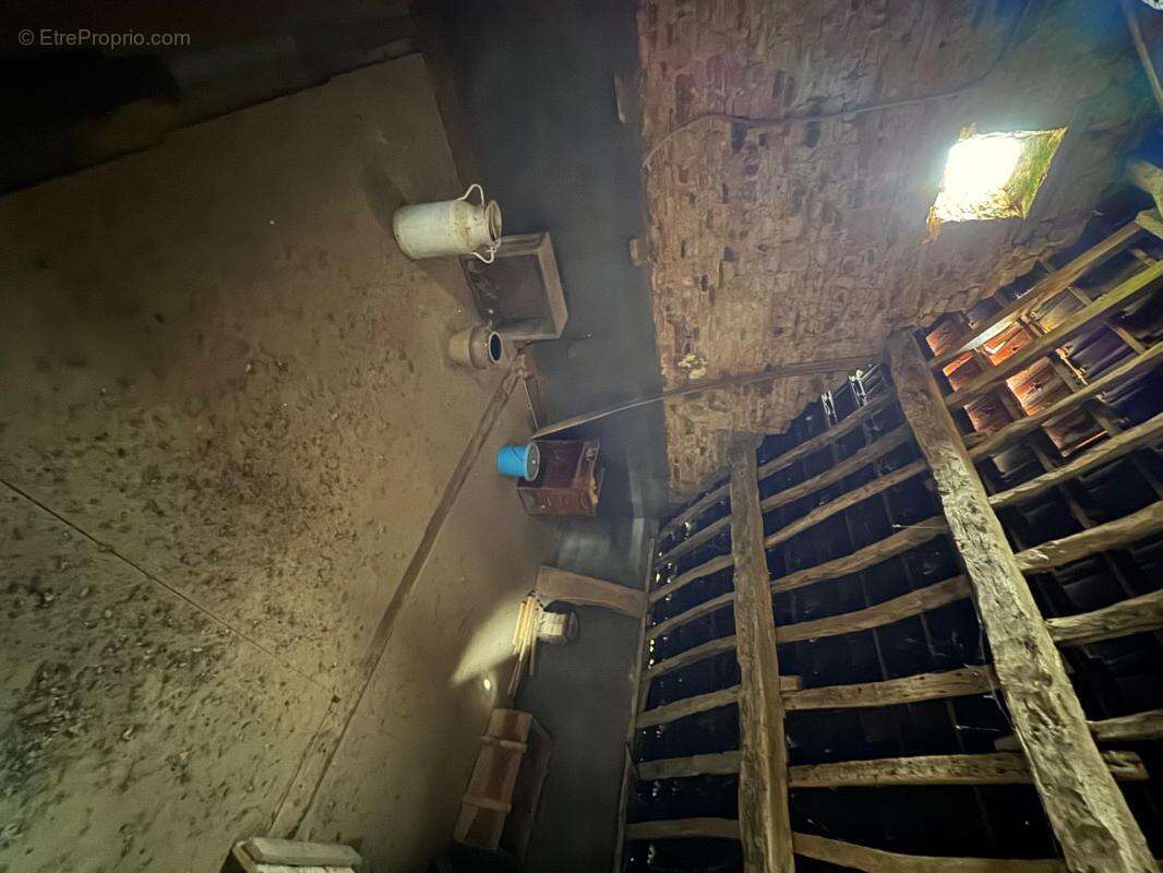 Maison à SEES