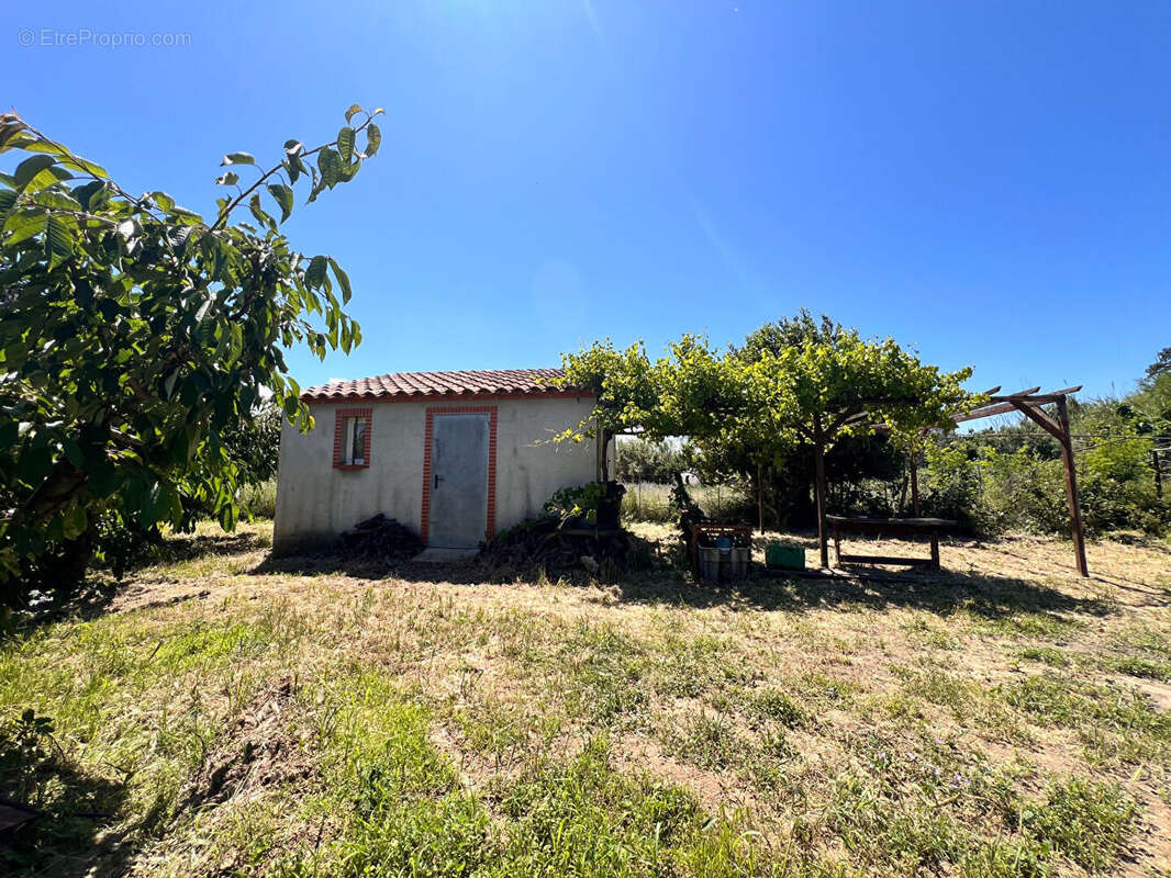 Terrain à PEZILLA-LA-RIVIERE