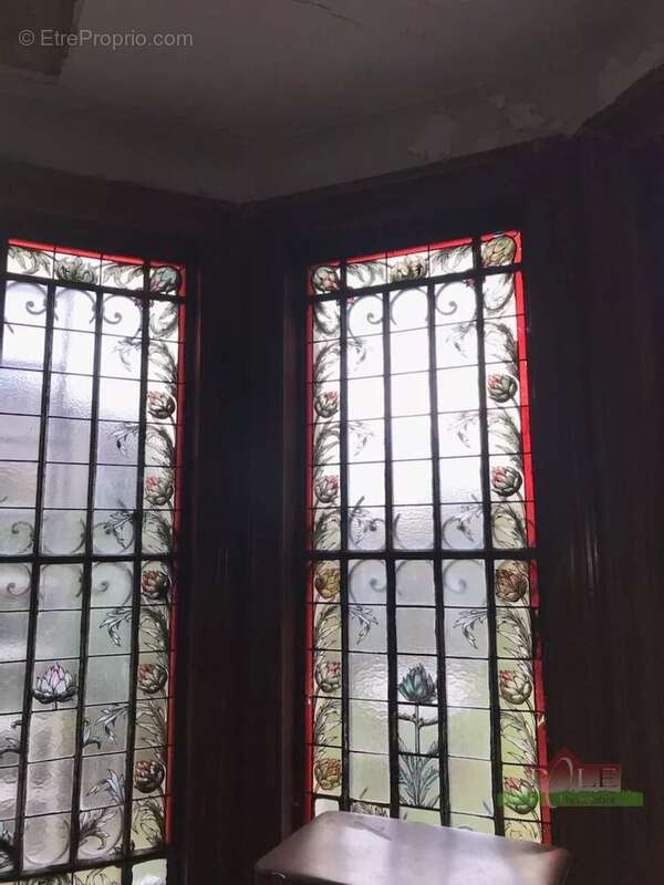VIENNE, Immeuble Bourgeois de 360m² avec terrain de 830m² - photo 8