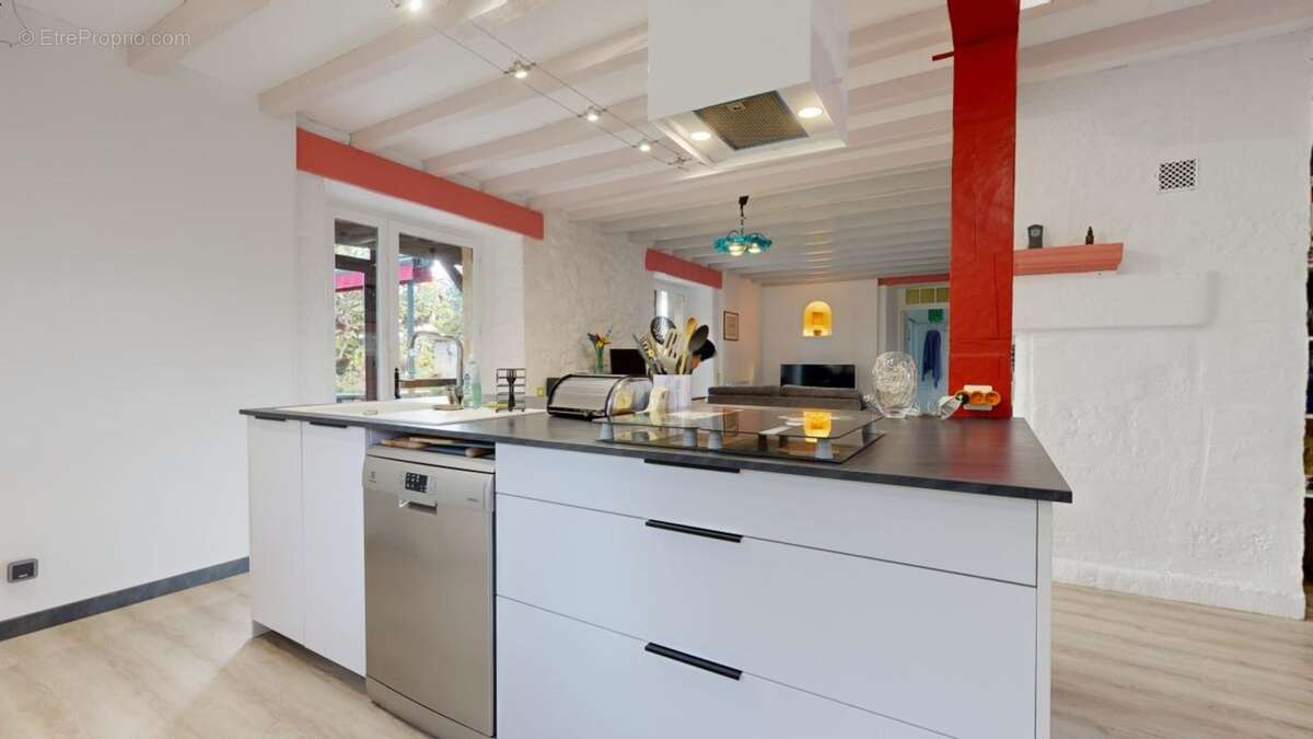 Ensemble-en-pierre-comprenant-5-gites-et-une-maiso - Maison à VEZAC