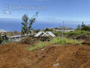 Terrain à SAINT-LEU