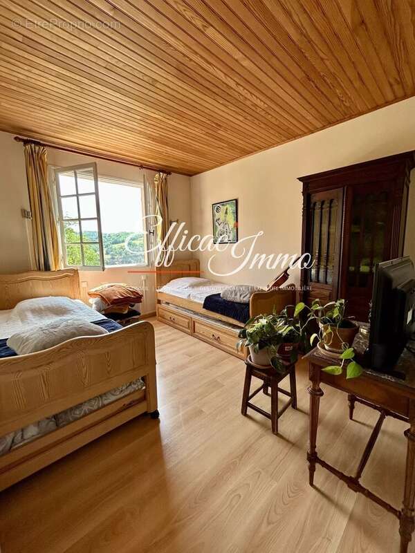 Villa T7 vue sur le Canigou sur 25 700m2 de terrain - photo 14