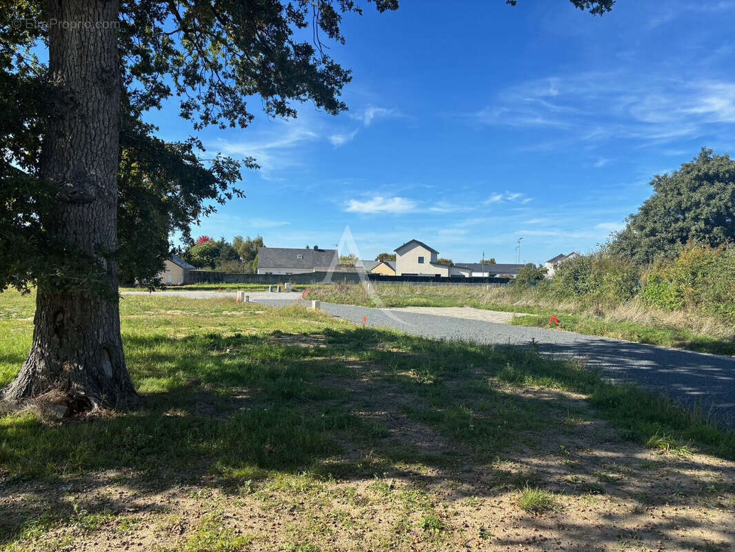 Terrain à SAINT-MARS-DU-DESERT