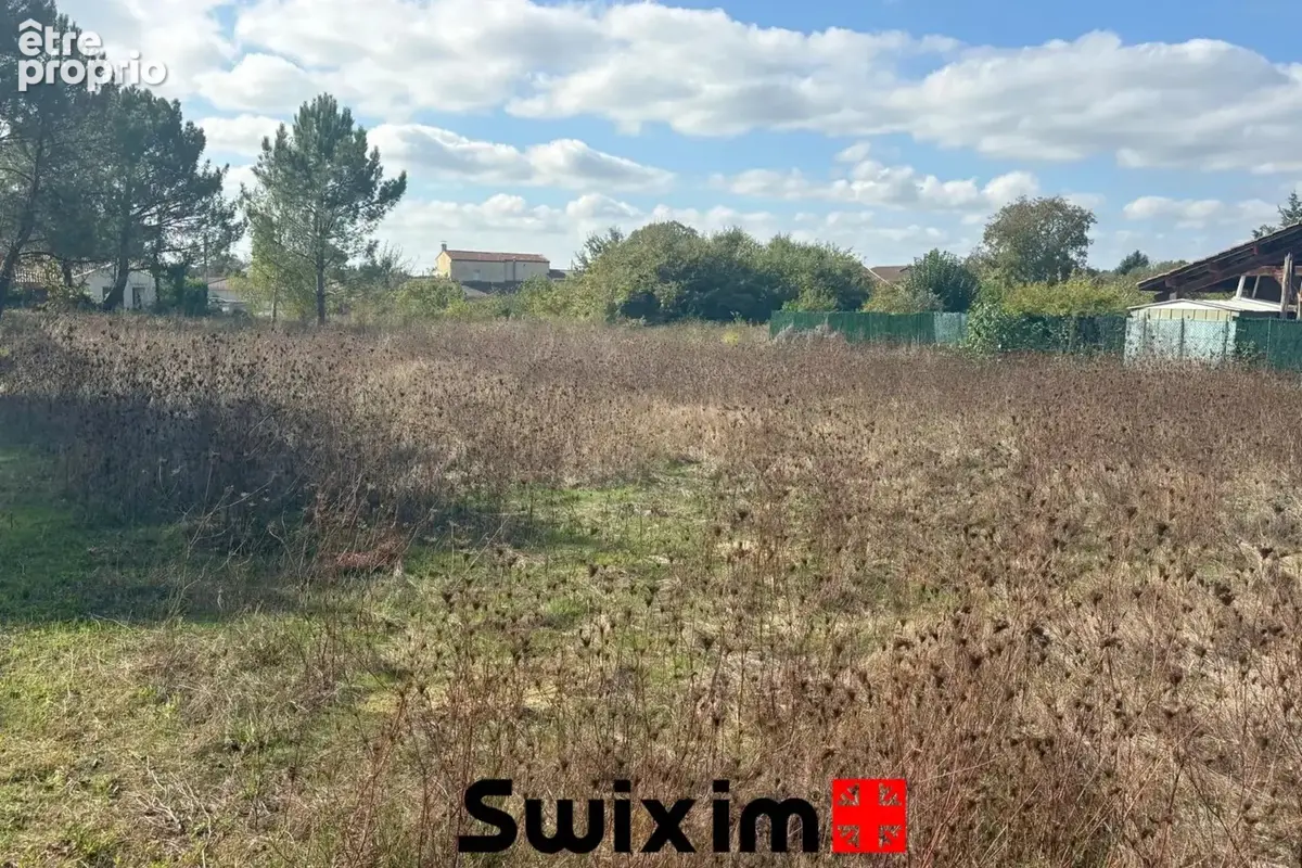Le Taillan-Médoc – Terrain à bâtir de 582 m² – Exclusivité - photo 2
