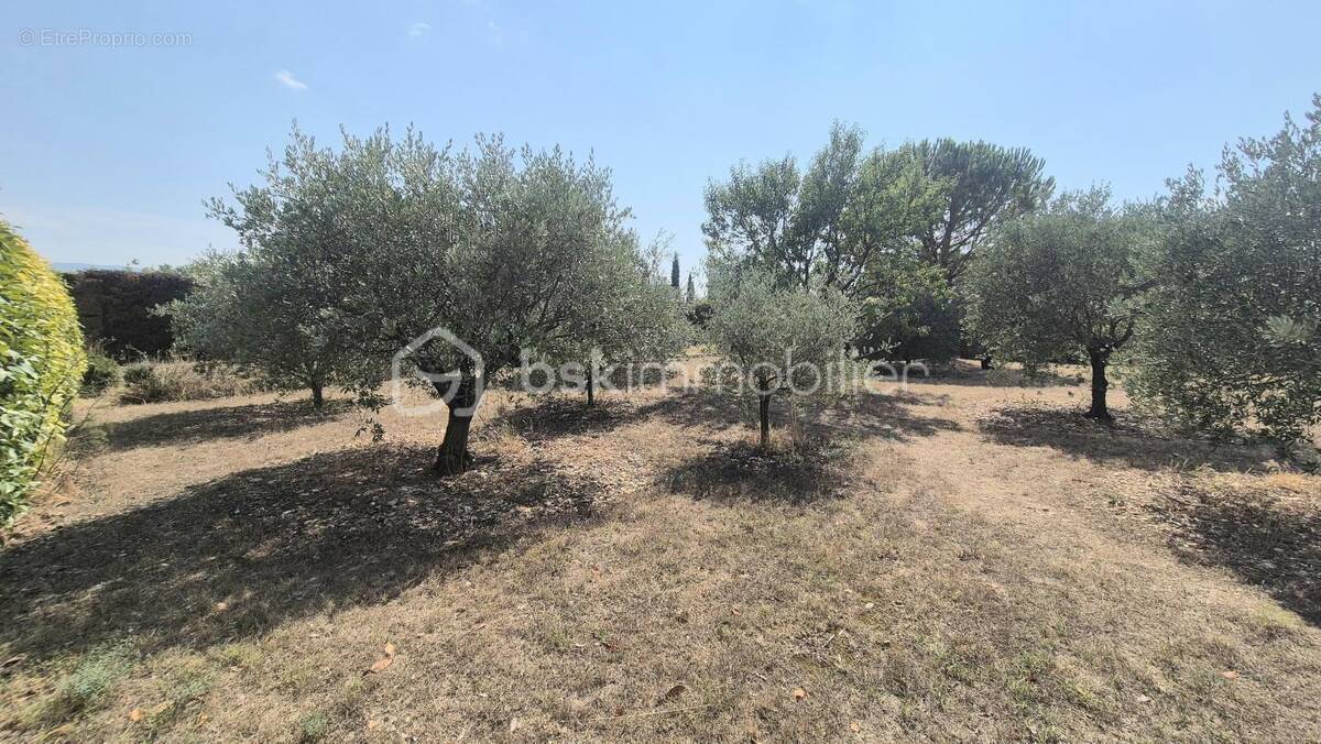 Villa traditionnelle - 2 logements - Parcelle de 3 000 m² - photo 4