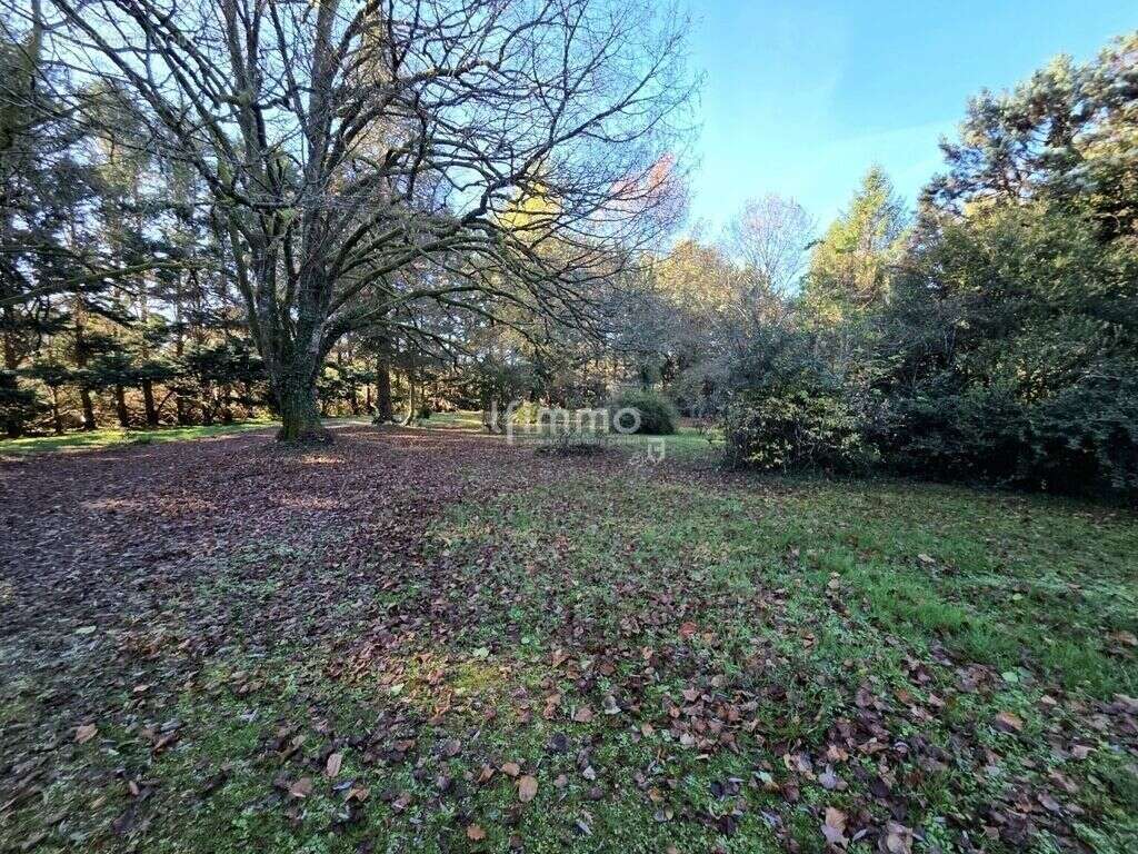 Grande maison familiale – 206 m² – Parcelle 17 457 m² - photo 18