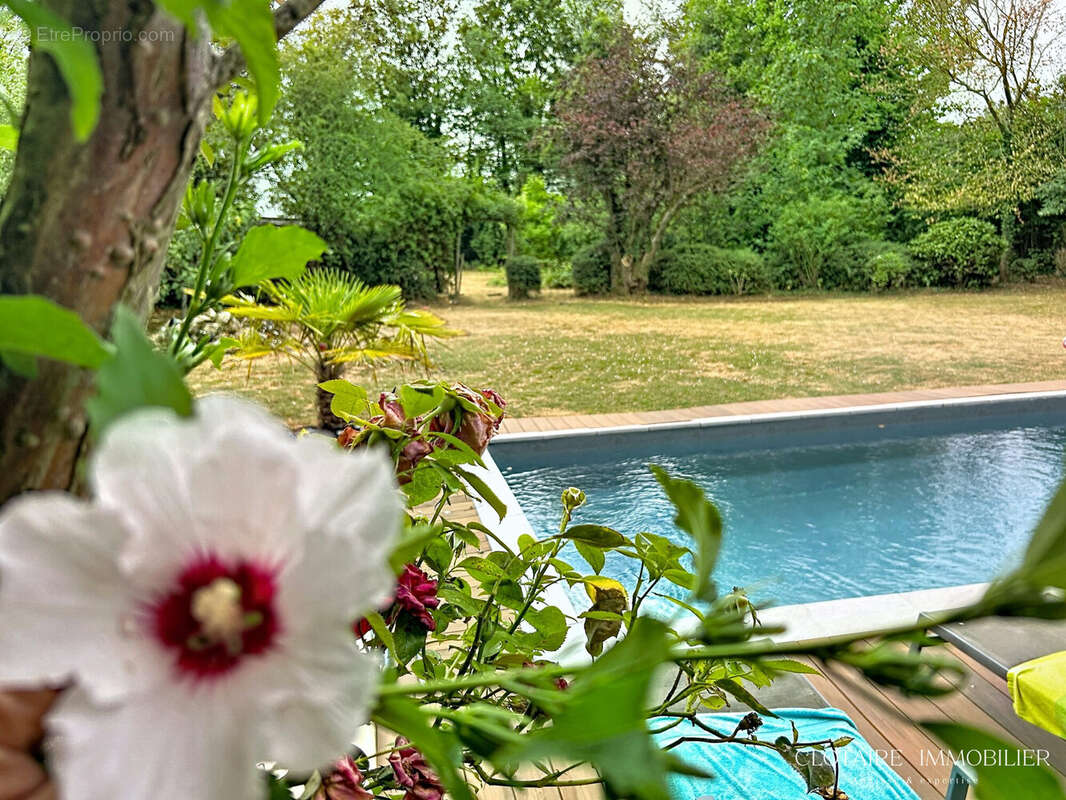 Maison 450 m² à Fontaine-Chaalis  - photo 4