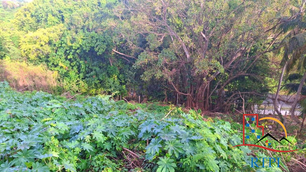 Terrain à SAINTE-ANNE