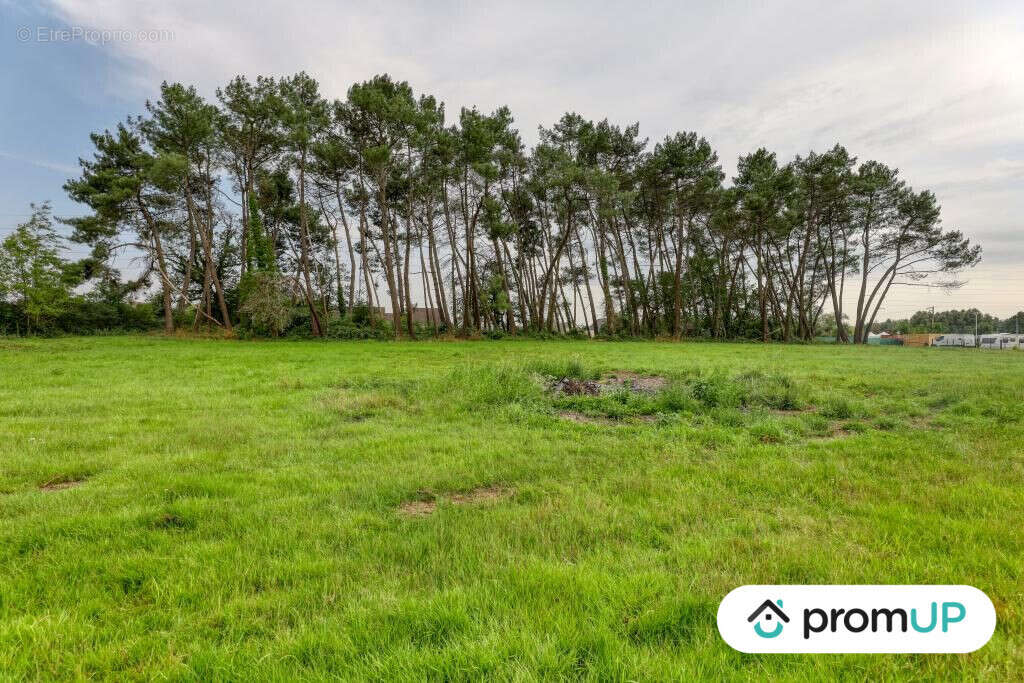 Terrain à SAINT-MARS-LA-BRIERE