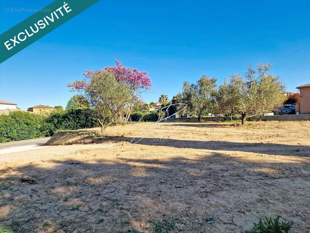 Photo 3 - Terrain à PUIMISSON