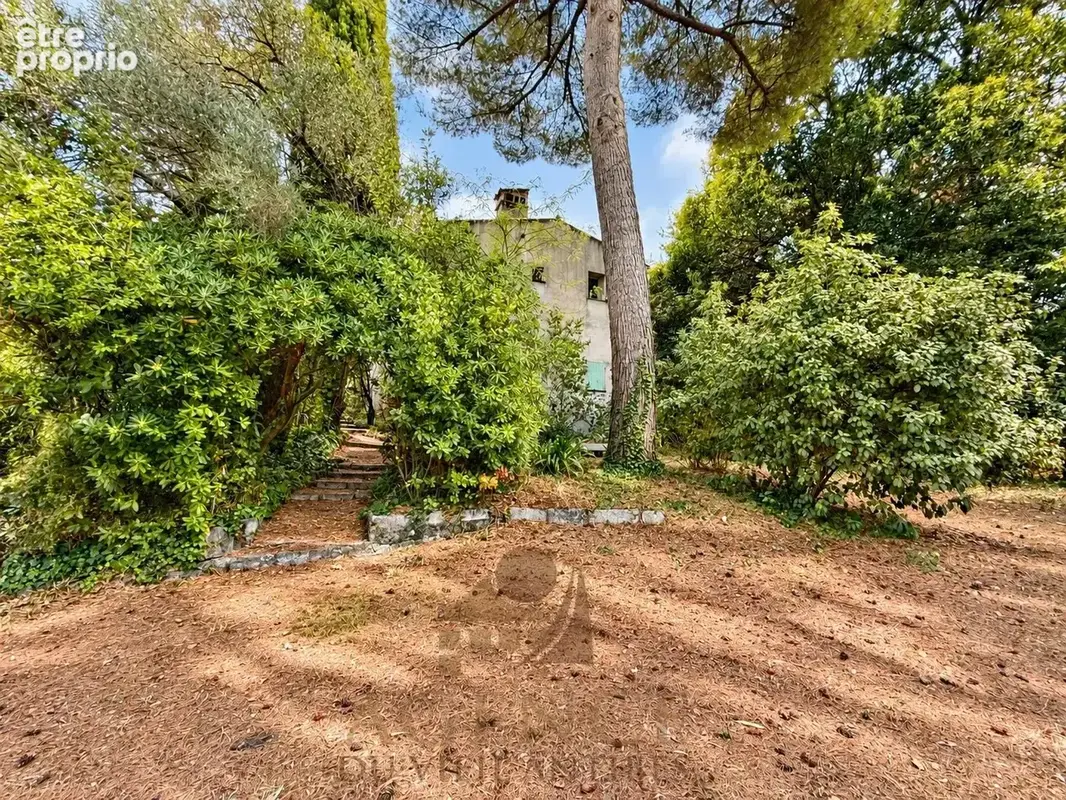Antibes Suquette Maison avec terrain 2100m2– Authentique propriété en pierre – Environnement privilégié – Fort potentiel – Pisci - photo 30