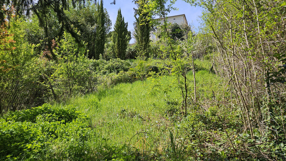 Maison à CHALAIS