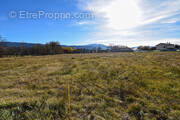 Terrain à BOURG-MADAME