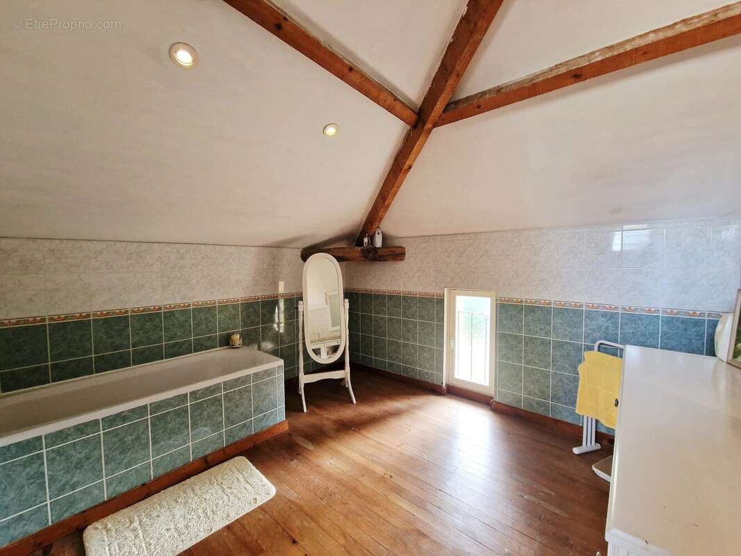 Maison girondine de caractère – 4 chambres sur un magnifique parc arboré, près de Saint-Émilion et Castillon-la-Bataille - photo 11