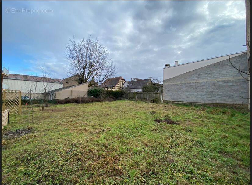 Terrain à KOLBSHEIM