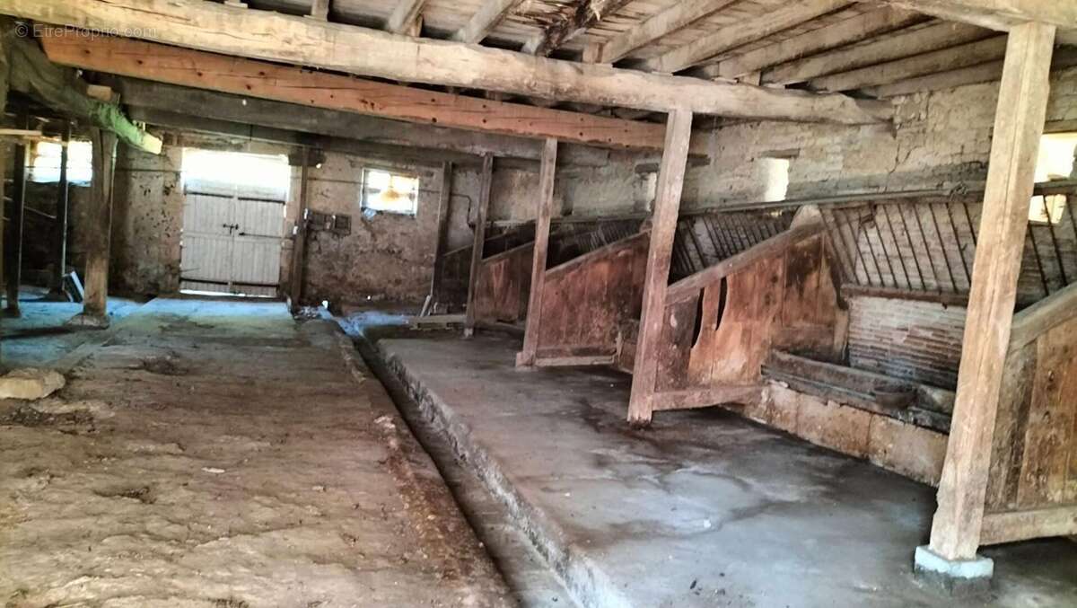 Propriété   125m² (32120) Puycasquier 6 pieces - photo 11