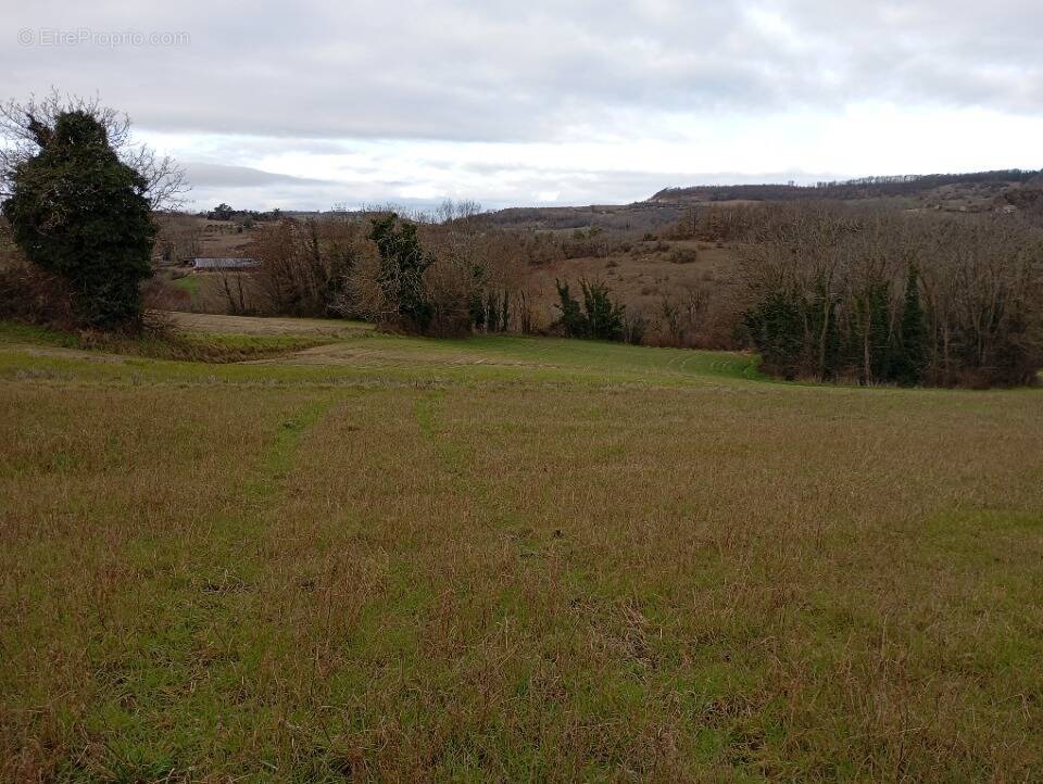 Terrain à SAINT-DONAT-SUR-L'HERBASSE