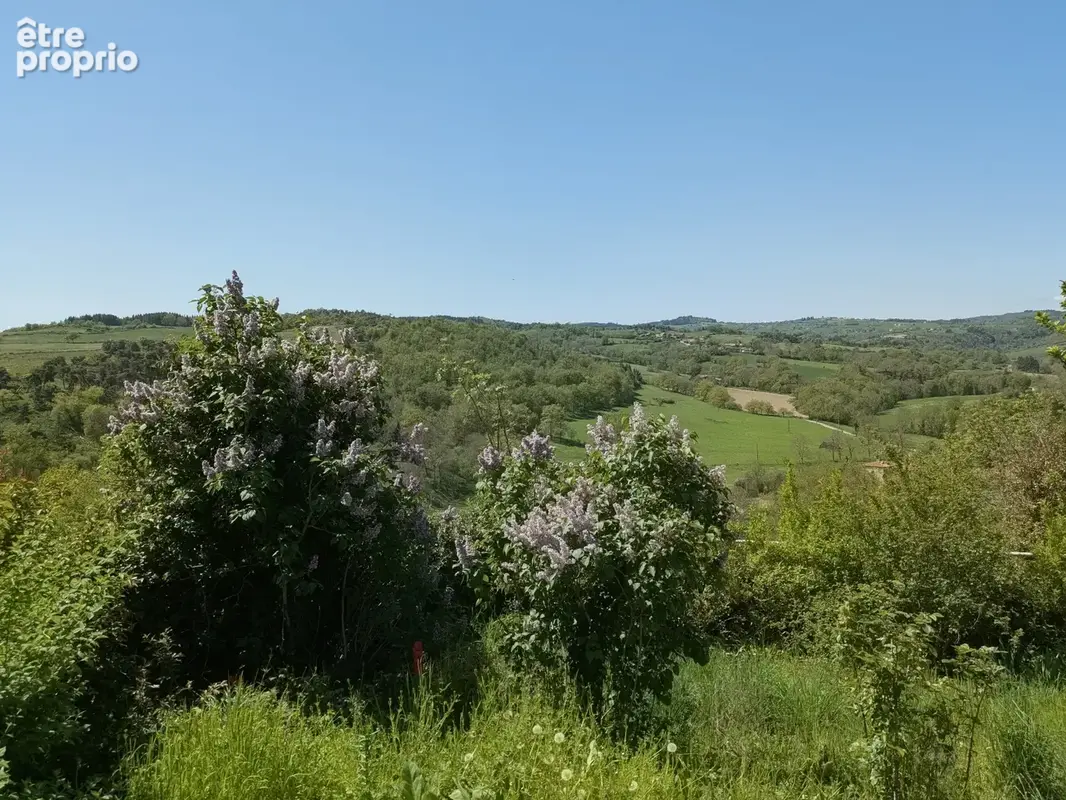 Maison a vendre saint germain laval - 141 m² - 5 chambres possibles - cave - jardin - photo 4