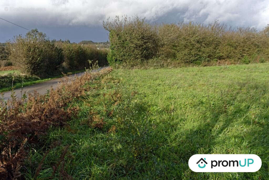 Terrain à LOQUEFFRET