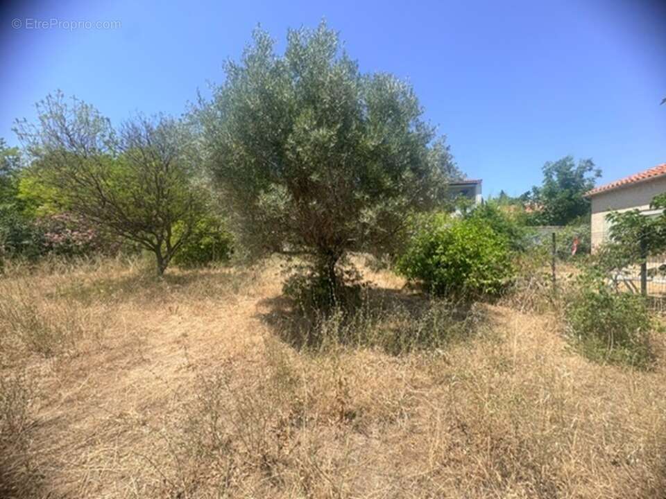 Terrain 341 m² à La Ciotat  - photo 2