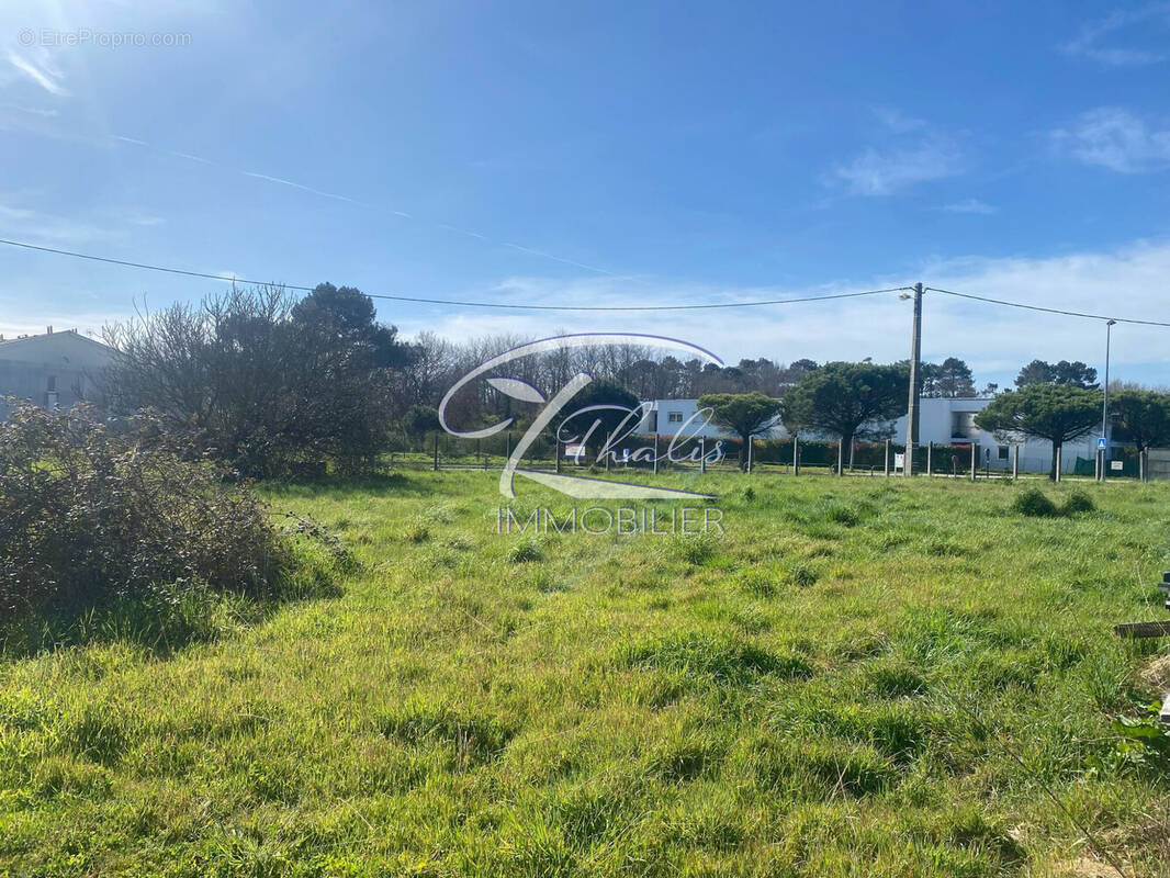 Terrain à SAINT-MEDARD-EN-JALLES