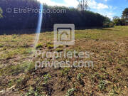 Terrain à COSNE-COURS-SUR-LOIRE