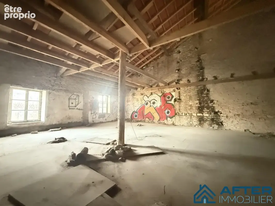 Maison 300 m² à Xermamenil  - photo 5