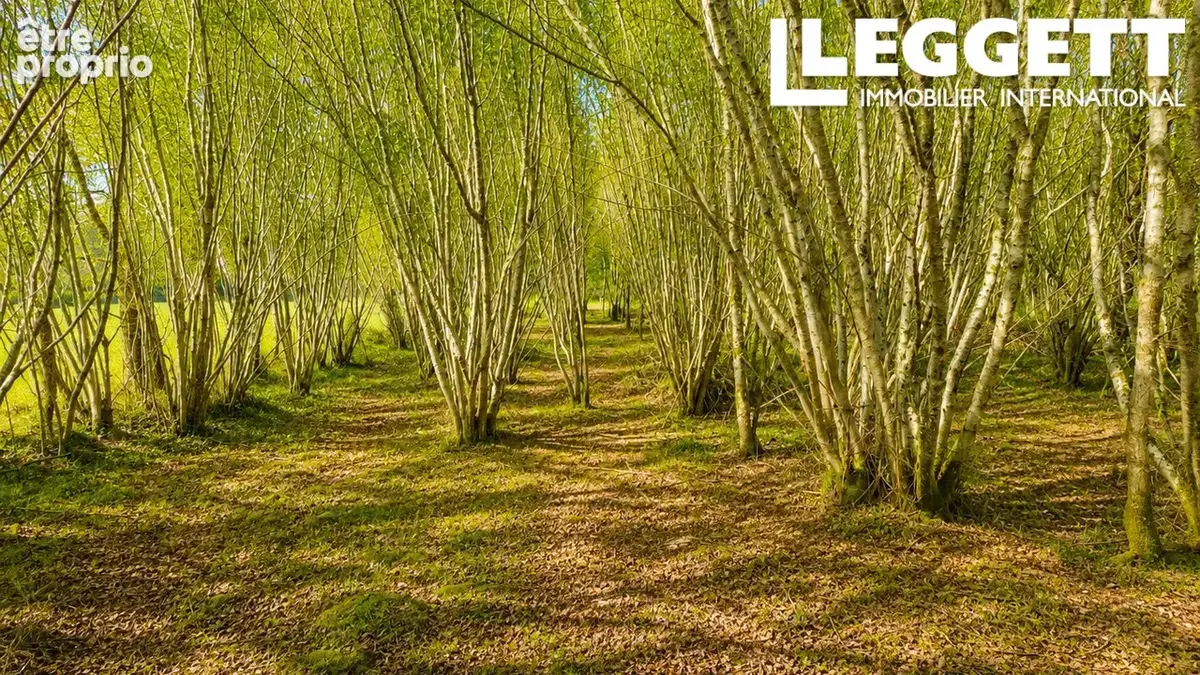 Beau terrain avec une grange en ruine avec CU - photo 9