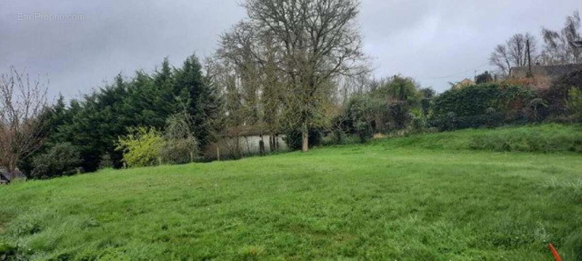 Maison à SAINT-LANGIS-LES-MORTAGNE