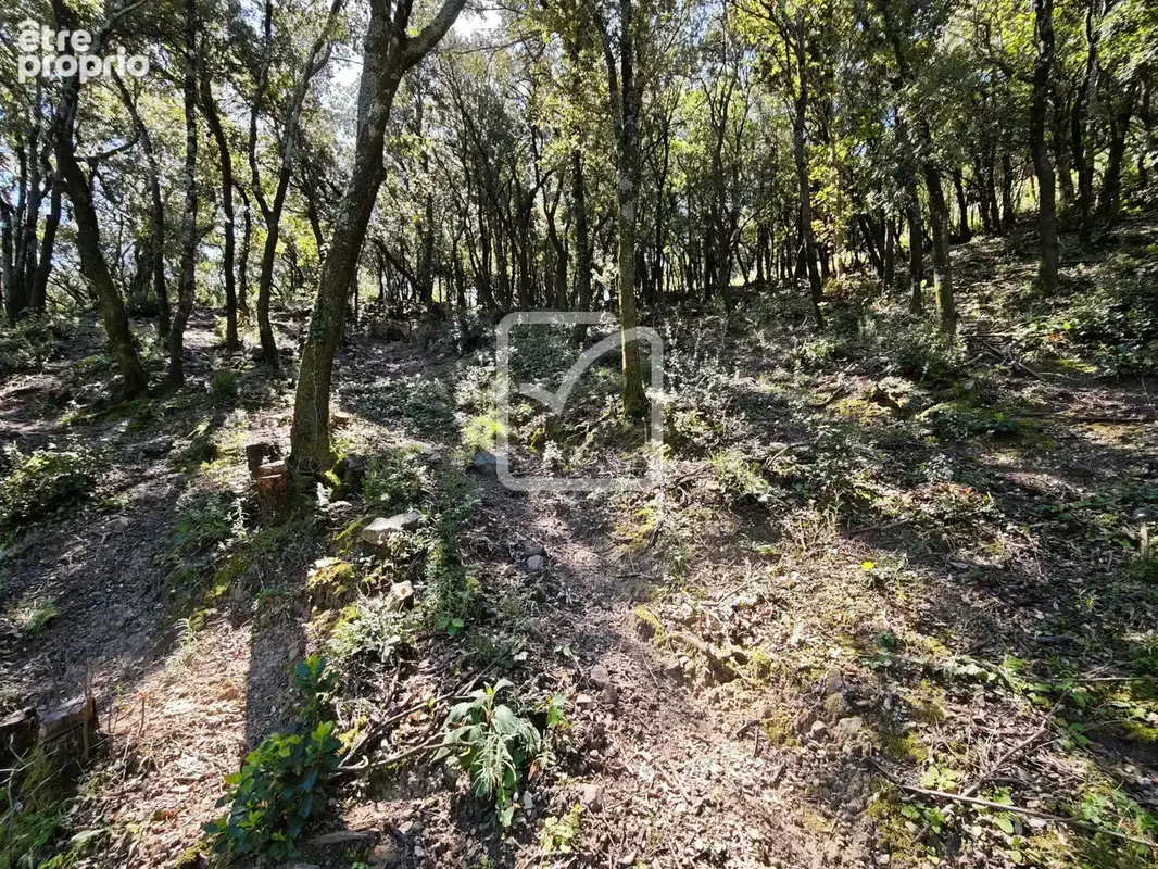 Beau et grand terrain constructible environnement nature! - photo 2