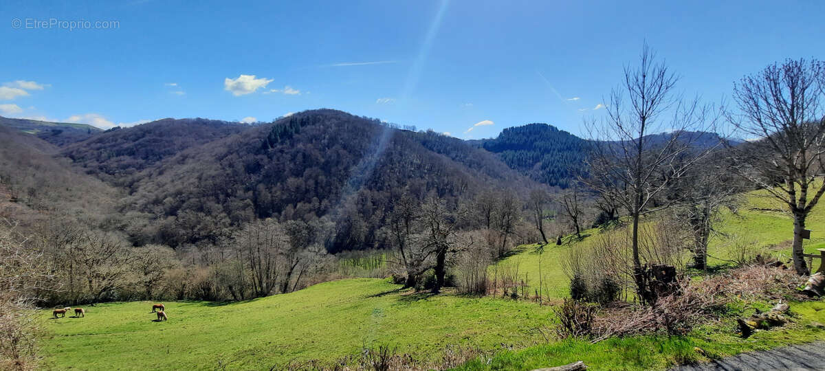Maison à CROS-DE-RONESQUE