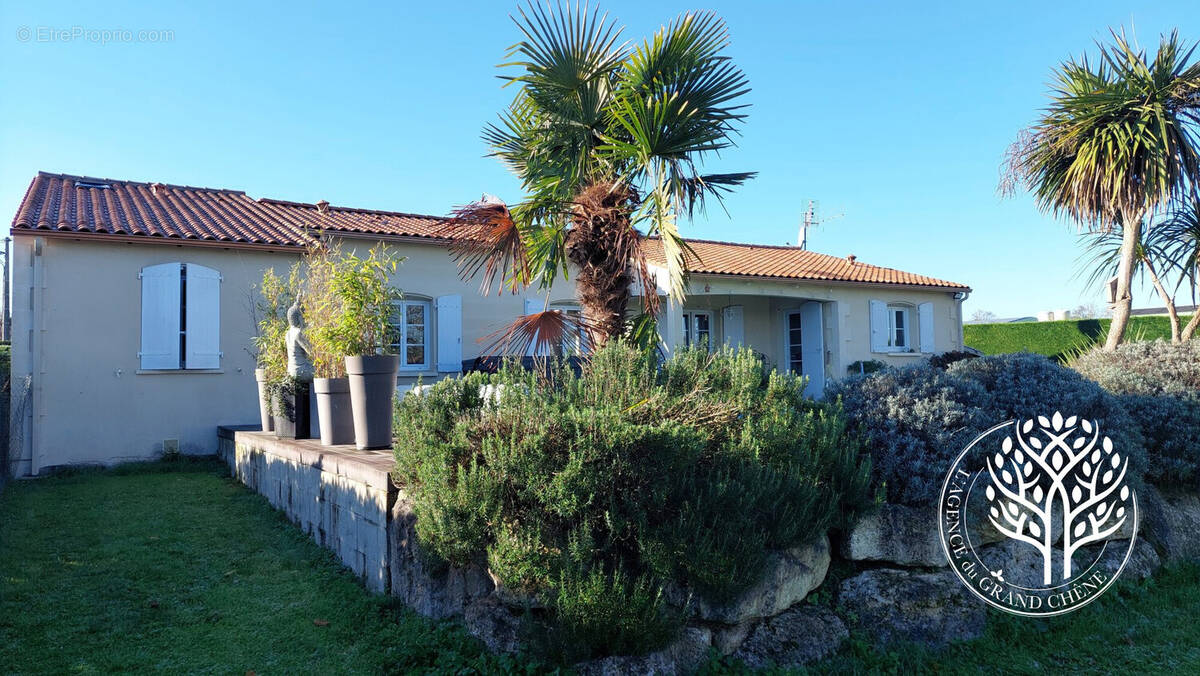 jardin paysager vue dégagée - Maison à SAINTES