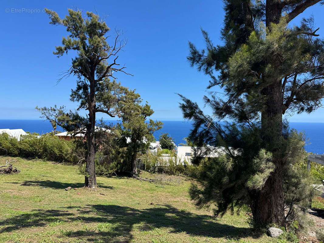 Terrain à SAINT-DENIS