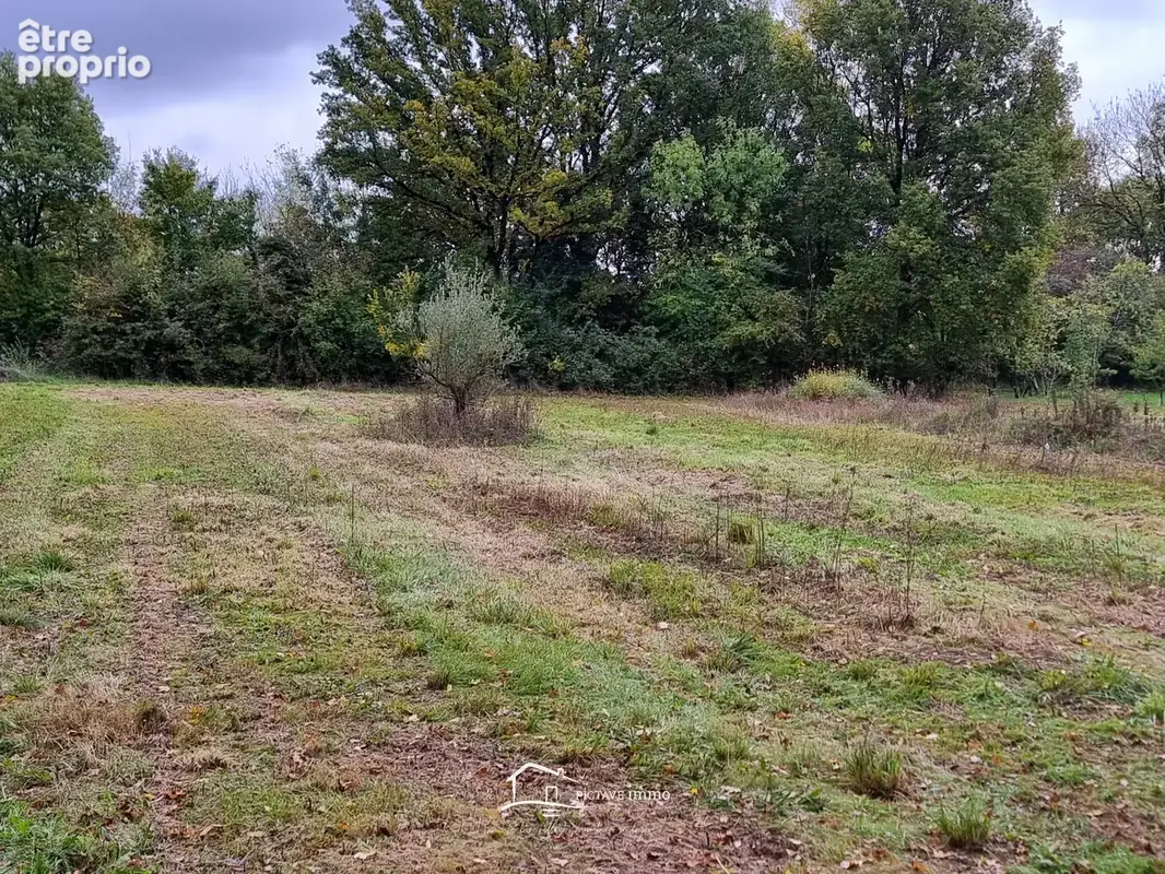 Terrain de loisirs - photo 7